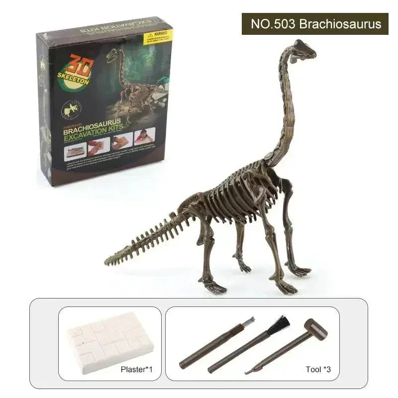 Brachiosaurus Skeleton Fossil Toy - Brachiosaurus Dinosaur Toys