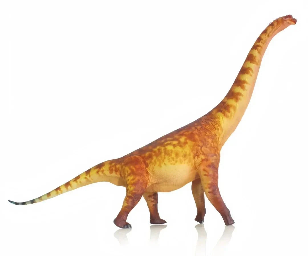 Large Brachiosaurus Toy - Brachiosaurus Dinosaur Toys