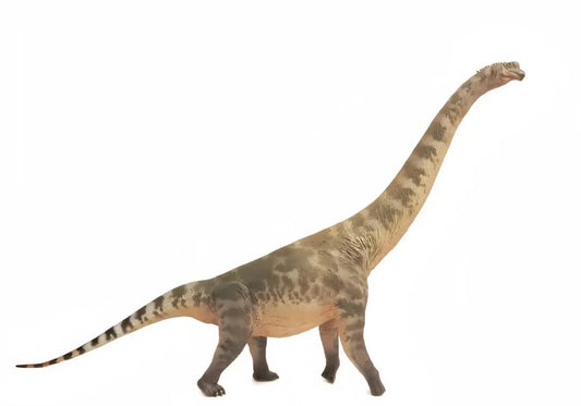 Large Brachiosaurus Toy - Brachiosaurus Dinosaur Toys