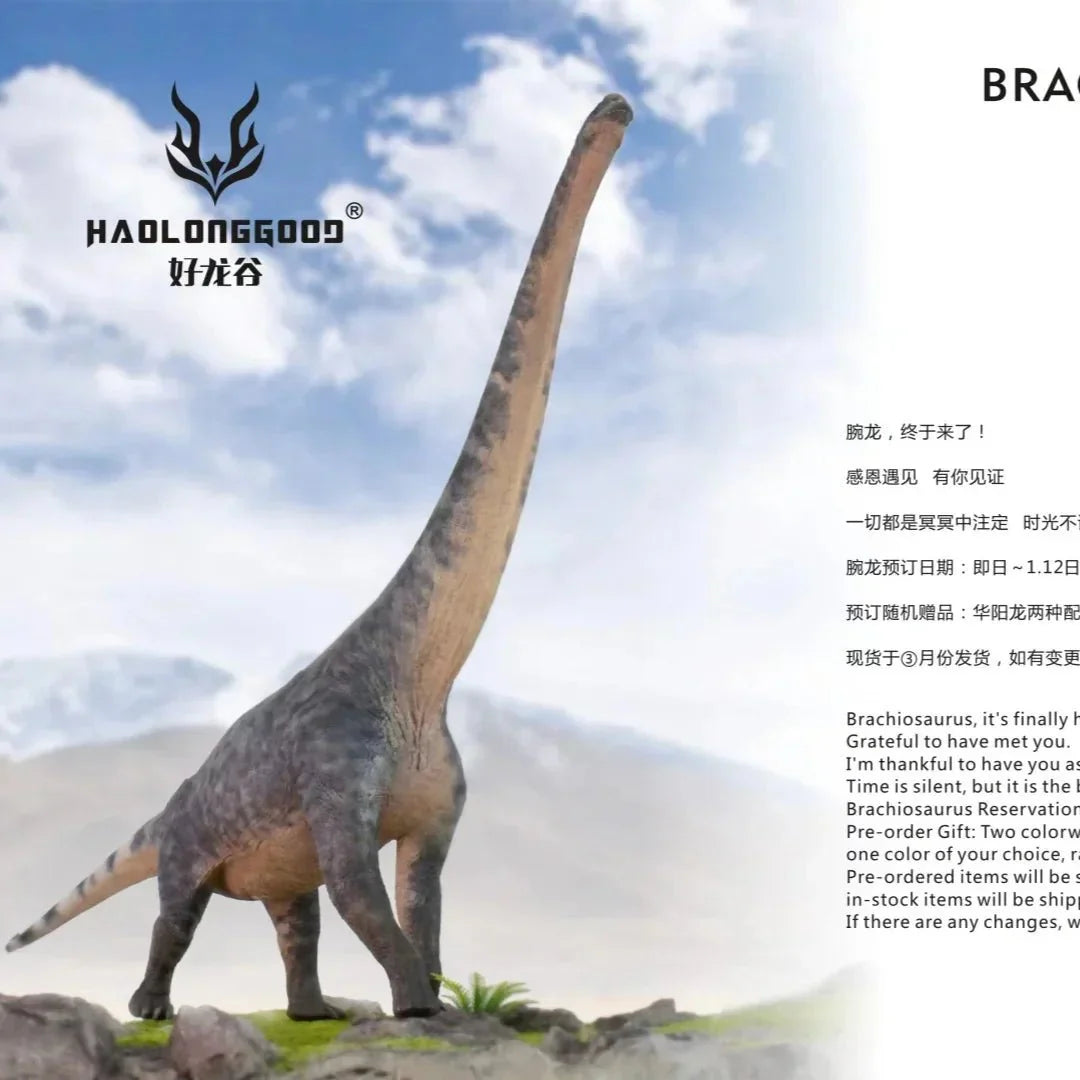 Large Brachiosaurus Toy - Brachiosaurus Dinosaur Toys