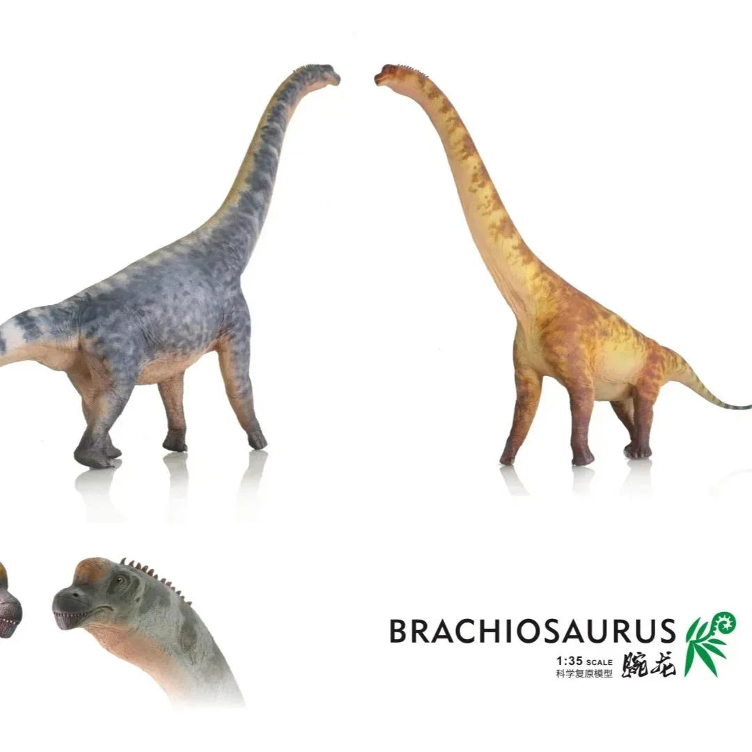 Large Brachiosaurus Toy - Brachiosaurus Dinosaur Toys