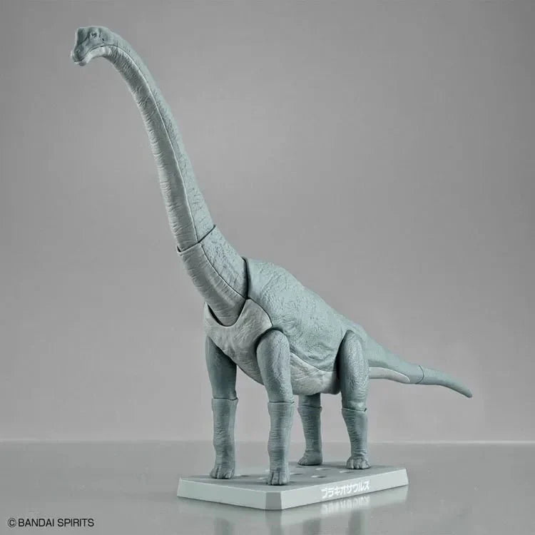 Plastic Brachiosaurus Fossils Skeleton - Brachiosaurus Dinosaur Toys