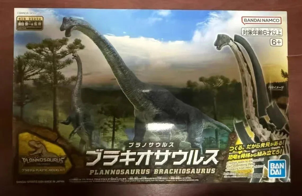 Plastic Brachiosaurus Fossils Skeleton - Brachiosaurus Dinosaur Toys