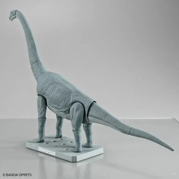 Plastic Brachiosaurus Fossils Skeleton - Brachiosaurus Dinosaur Toys