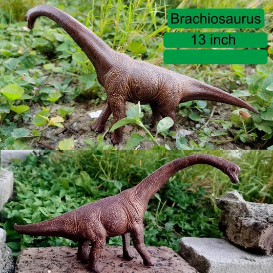 Brachiosaurus 13 Inches Toy - Brachiosaurus Dinosaur Toys