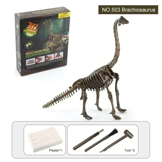 Brachiosaurus Skeleton Fossil Toy - Brachiosaurus Dinosaur Toys