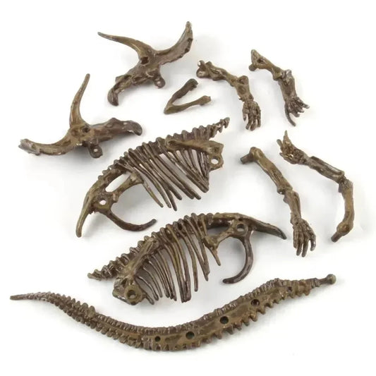 Brachiosaurus Skeleton Fossil Toy - Brachiosaurus Dinosaur Toys