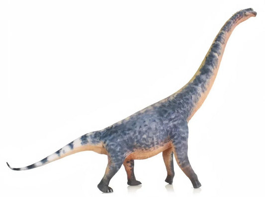 Large Brachiosaurus Toy - Brachiosaurus Dinosaur Toys