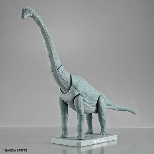 Plastic Brachiosaurus Fossils Skeleton - Brachiosaurus Dinosaur Toys